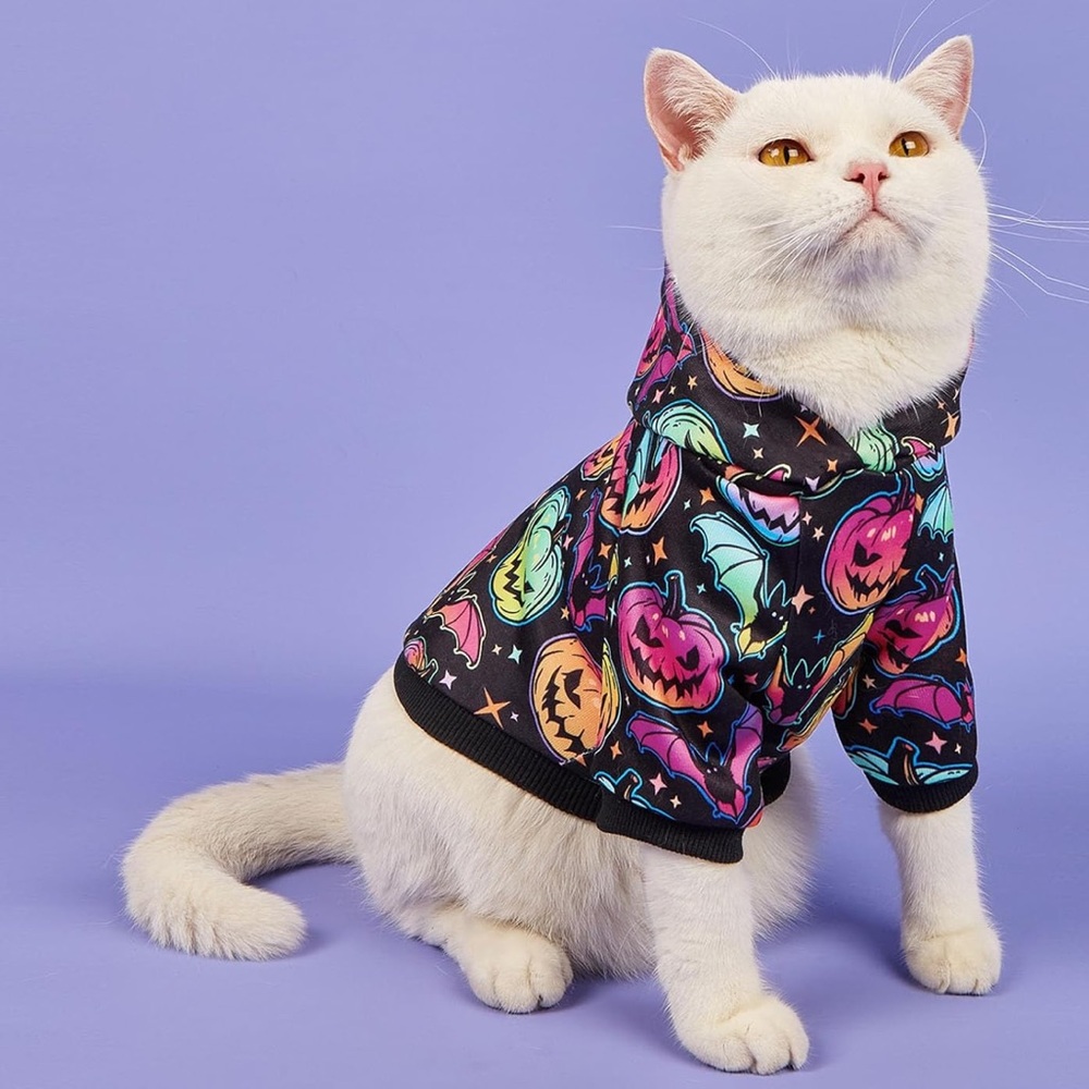 Halloween/Pumpkin S Hooded Pet Costume